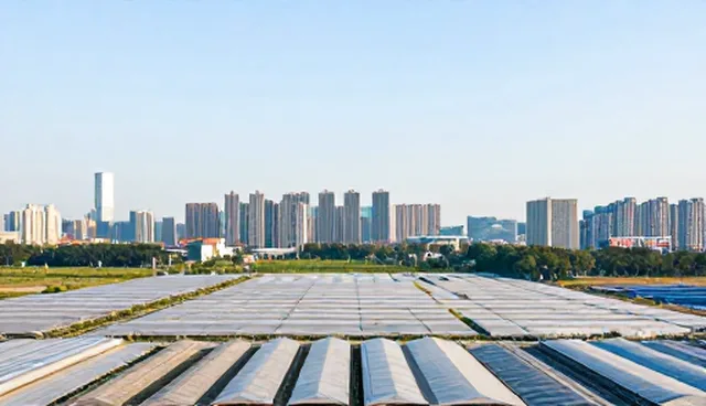 系统稳定性保障：接口对接的选型与维护建议