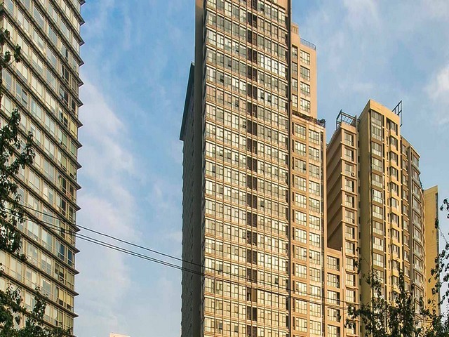 闵行区口碑好阿尔博32.5白水泥的用途和特点